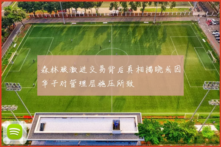 森林狼激进交易背后真相揭晓或因华子对管理层施压所致